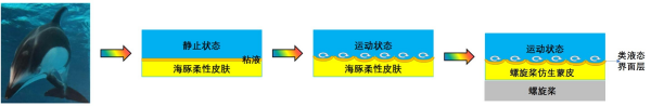 AG九游会网站宁波原料所等研发螺旋桨仿生蒙皮原料 助力超大型油轮节能增效(图2)