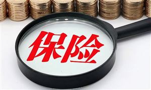 AG九游会塑料原料商场深度全景调研叙述2023(图4)